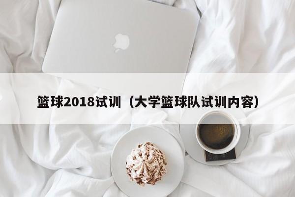 篮球2018试训（大学篮球队试训内容）