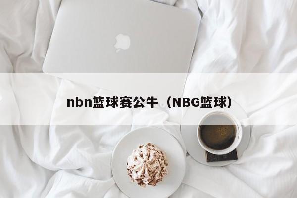 nbn篮球赛公牛（NBG篮球）