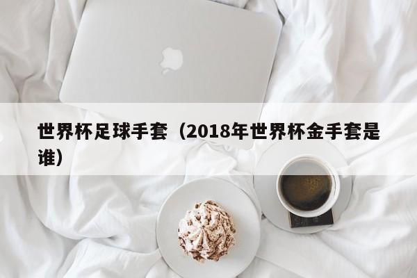 世界杯足球手套（2018年世界杯金手套是谁）