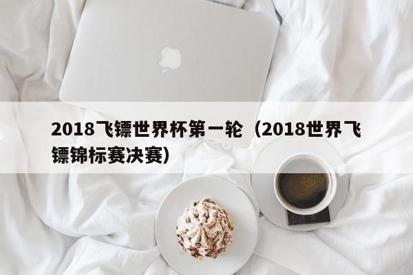 2018飞镖世界杯第一轮（2018世界飞镖锦标赛决赛）