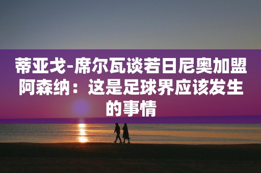 蒂亚戈-席尔瓦谈若日尼奥加盟阿森纳：这是足球界应该发生的事情