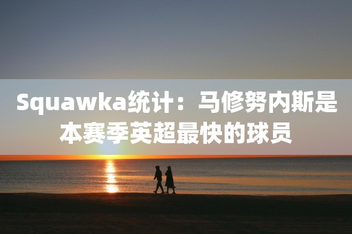 Squawka统计：马修努内斯是本赛季英超最快的球员